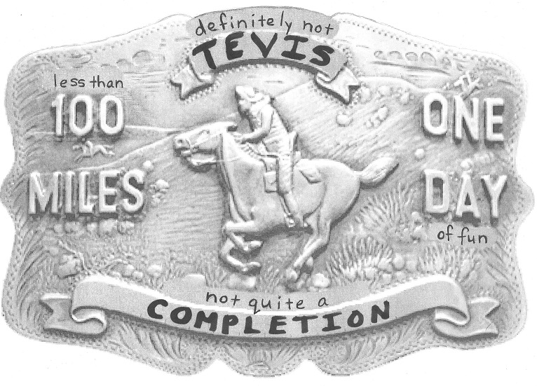 Tevis Completion Belt Buckle